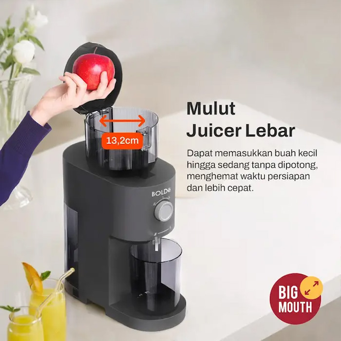 Bolde Slow Juicer Ice Sorbet Maker 2 in 1 Z8